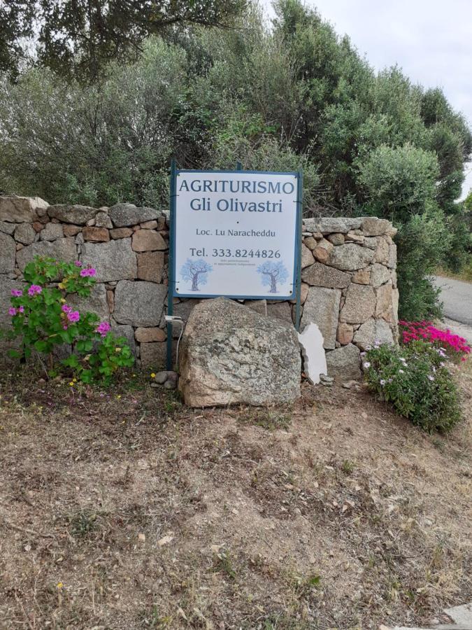 Gli Olivastri Con Piscina,Solarium, Vista Mare ,Sole -Mare E Tanta Natura ,Climatizzatore,Wifi Aglientu Dış mekan fotoğraf