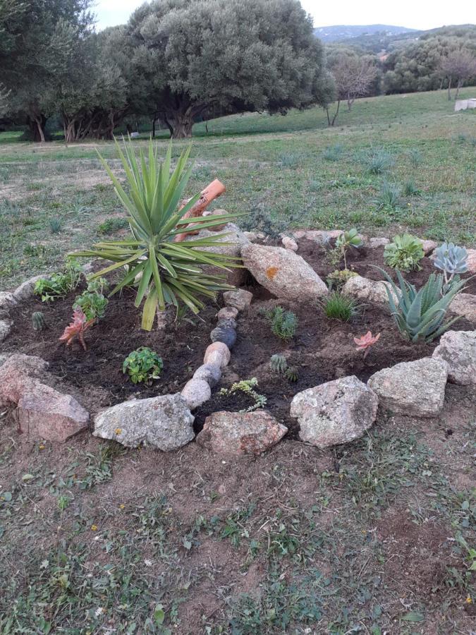 Gli Olivastri Con Piscina,Solarium, Vista Mare ,Sole -Mare E Tanta Natura ,Climatizzatore,Wifi Aglientu Dış mekan fotoğraf