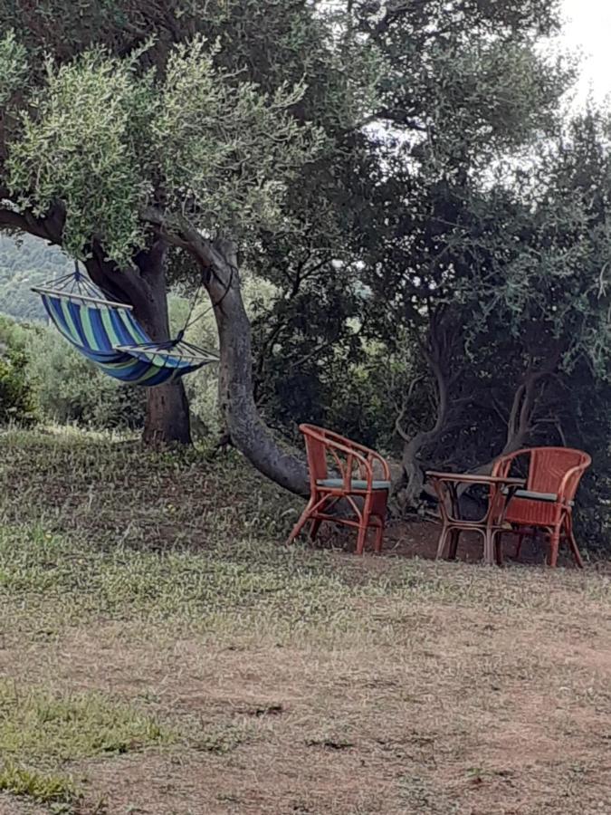 Gli Olivastri Con Piscina,Solarium, Vista Mare ,Sole -Mare E Tanta Natura ,Climatizzatore,Wifi Aglientu Dış mekan fotoğraf