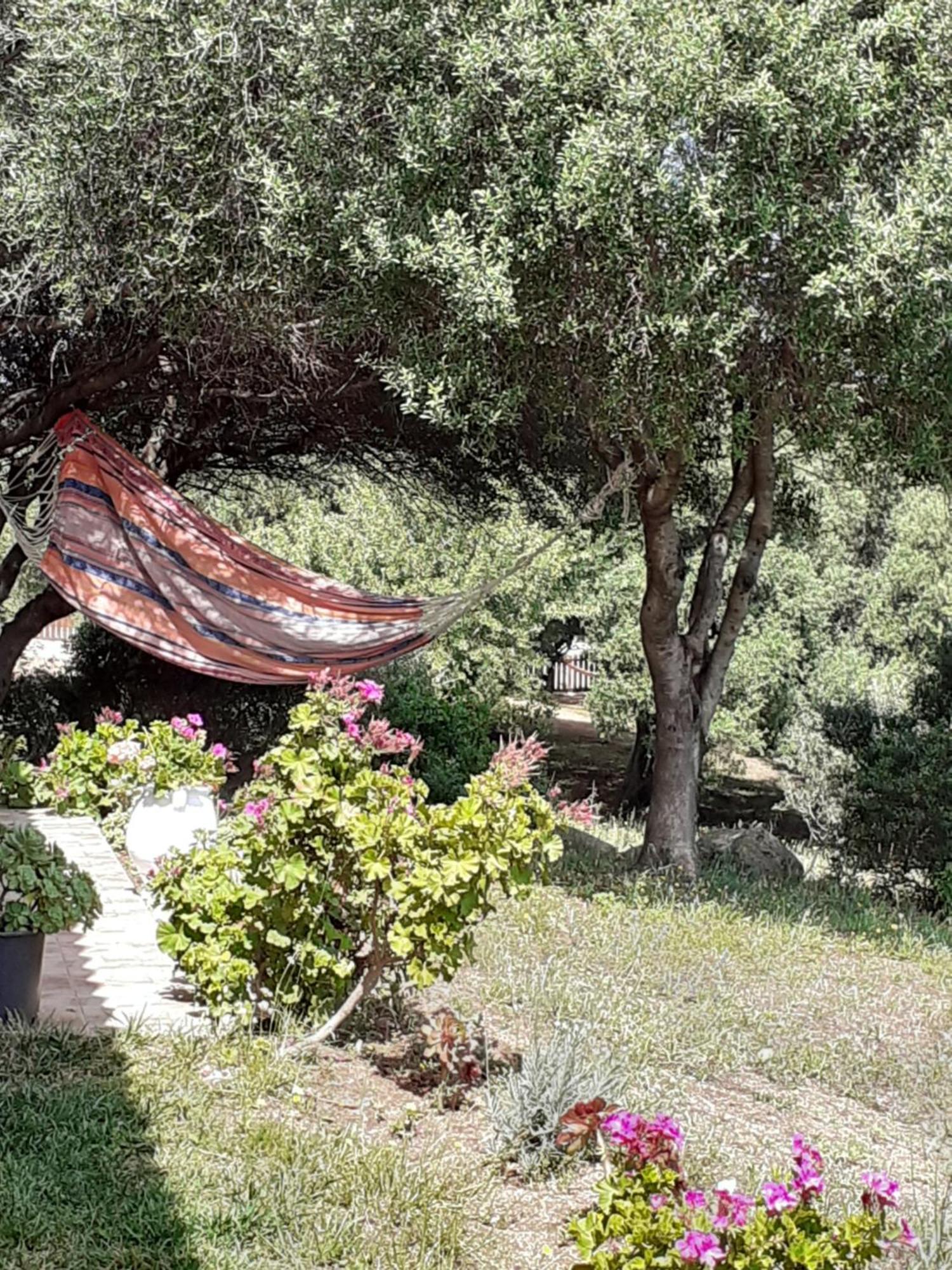 Gli Olivastri Con Piscina,Solarium, Vista Mare ,Sole -Mare E Tanta Natura ,Climatizzatore,Wifi Aglientu Dış mekan fotoğraf