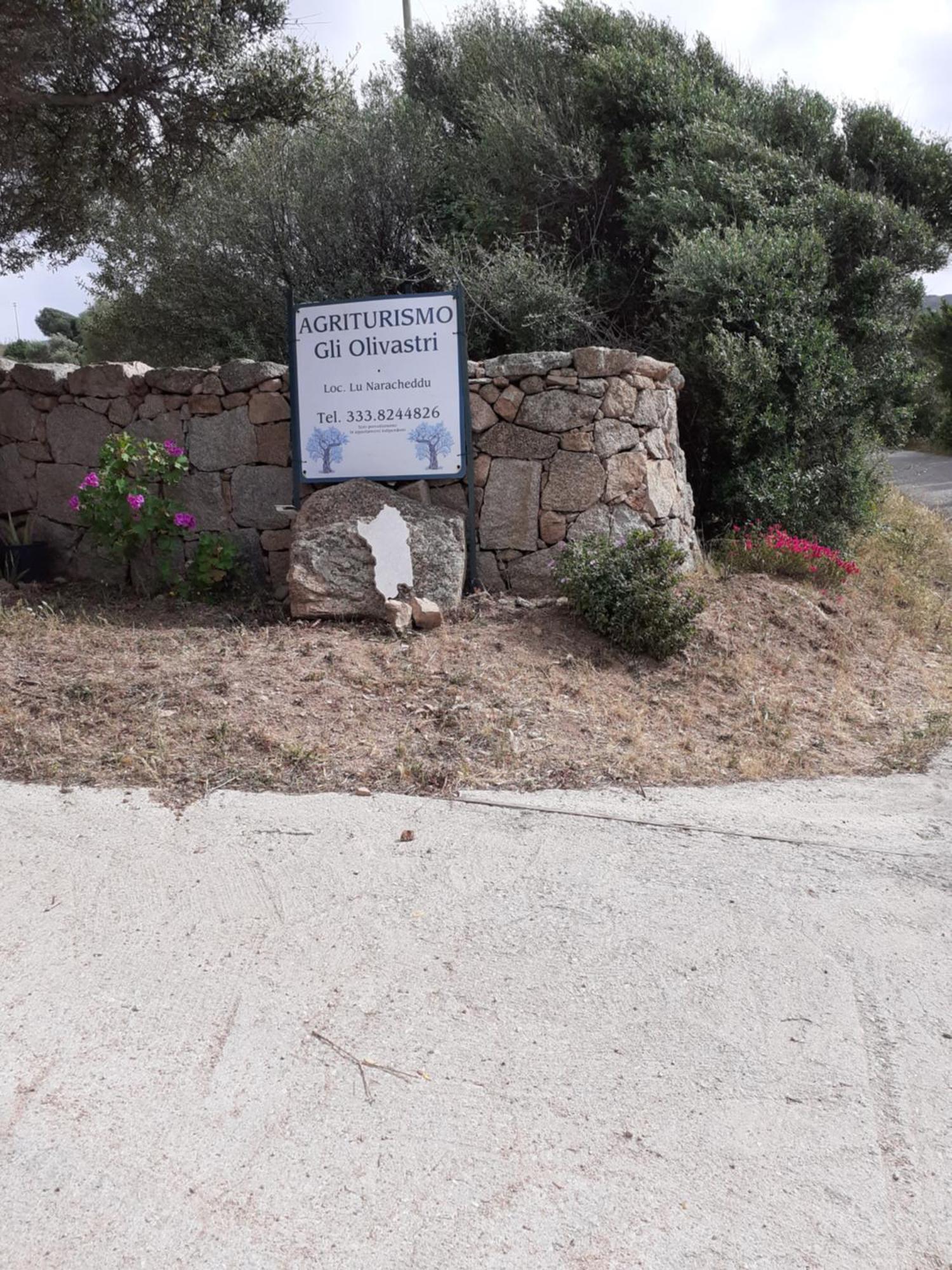 Gli Olivastri Con Piscina,Solarium, Vista Mare ,Sole -Mare E Tanta Natura ,Climatizzatore,Wifi Aglientu Dış mekan fotoğraf