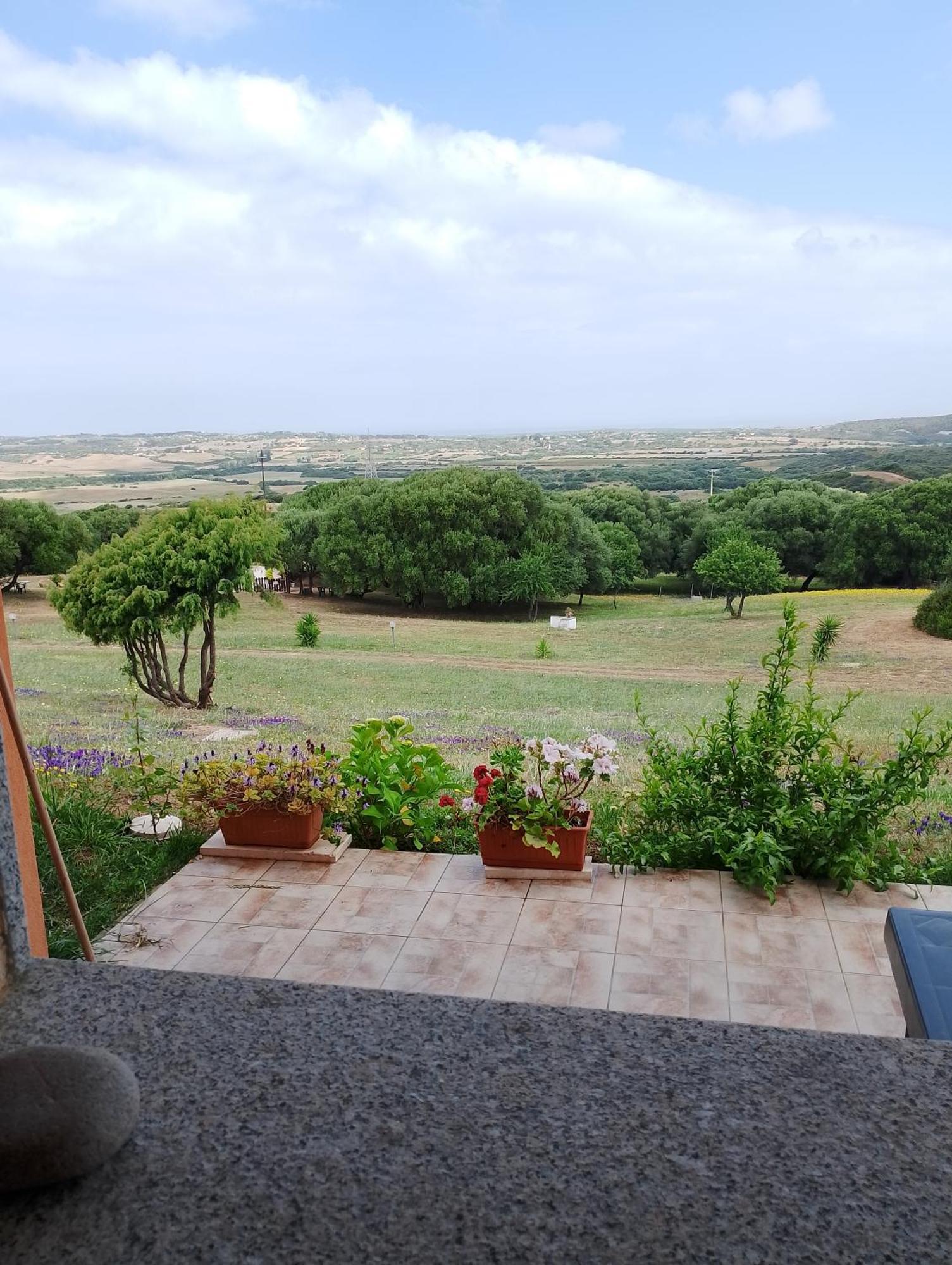Gli Olivastri Con Piscina,Solarium, Vista Mare ,Sole -Mare E Tanta Natura ,Climatizzatore,Wifi Aglientu Dış mekan fotoğraf