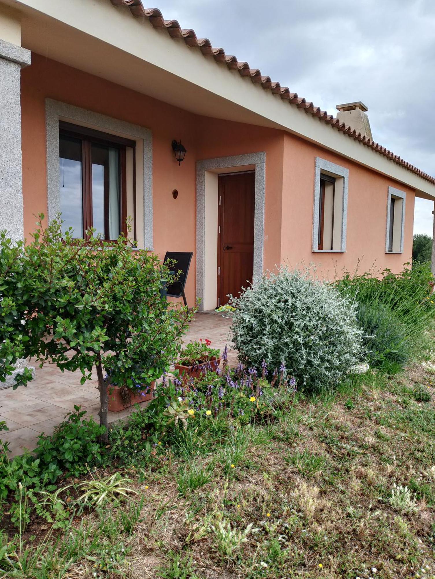 Gli Olivastri Con Piscina,Solarium, Vista Mare ,Sole -Mare E Tanta Natura ,Climatizzatore,Wifi Aglientu Dış mekan fotoğraf