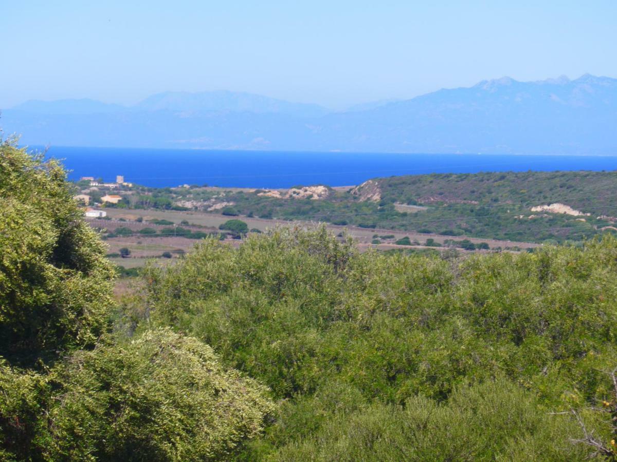 Gli Olivastri Con Piscina,Solarium, Vista Mare ,Sole -Mare E Tanta Natura ,Climatizzatore,Wifi Aglientu Dış mekan fotoğraf