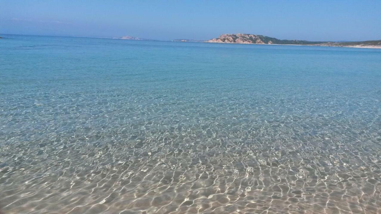 Gli Olivastri Con Piscina,Solarium, Vista Mare ,Sole -Mare E Tanta Natura ,Climatizzatore,Wifi Aglientu Dış mekan fotoğraf