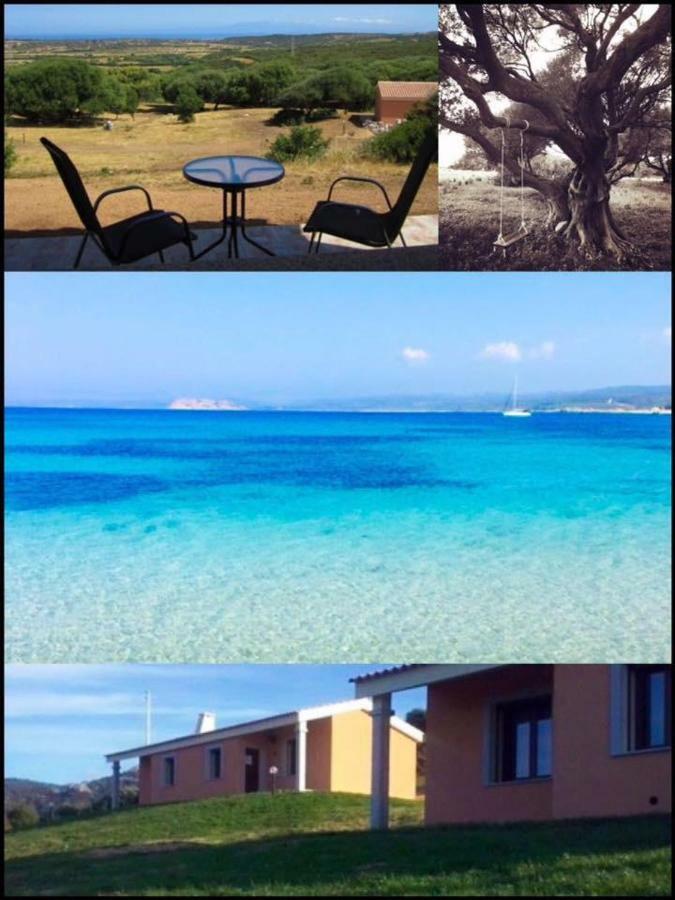 Gli Olivastri Con Piscina,Solarium, Vista Mare ,Sole -Mare E Tanta Natura ,Climatizzatore,Wifi Aglientu Dış mekan fotoğraf
