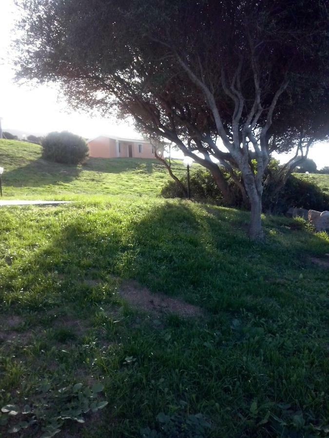 Gli Olivastri Con Piscina,Solarium, Vista Mare ,Sole -Mare E Tanta Natura ,Climatizzatore,Wifi Aglientu Dış mekan fotoğraf
